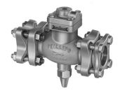 700 Phillips Check Valve